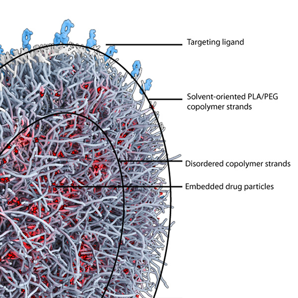 薬物治療学 : VISUAL CORE PHARMA Amazon.com: Systemic Formulas NeuroVision Eye & Immune